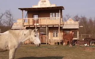 Pomôžte Detskej farme Humanita (DFH) postaviť sa na nohy