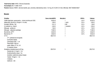 Pre Bessie, aby mohla ešte žiť naplno