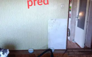 Pomohli ste zrekonštruovať azyl pre hendikepované a zachránené mačky