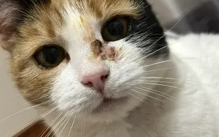 Zachráňme Sašenku bojujúcu s tumorom mäkkých tkanív