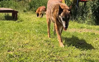 Kenay je záchranárom celý svoj život. Teraz potrebuje záchranu on.