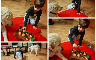 Pomôžme Miškovi lepšie porozumieť svetu