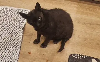 Laruška bojuje o život – pomôžme jej zvíťaziť nad bolesťou