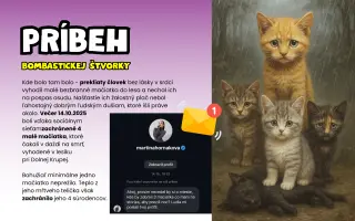 Zo starej stodoly vytvoríme MŇAUČÍN!