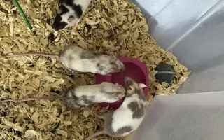 Pomôžte nám vybudováť farmu pre verejnosť