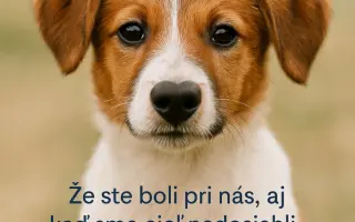 Kde jeden vzal, tam druhý dal - Cesta za šťastím túlavého Ľiptáka