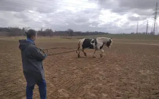 Pomôž nám vybudovať centrum pre kone