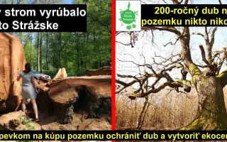 Zachráňme 200-ročný dub a vytvorme EKOCENTRUM POD DUBOM. Zelená hliadka Pezinok