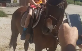 Pomôžme dvojičkám Walinkovi a Sebinkovi s autizmom