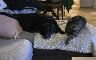 Darujme Benjimu nový život bez bolesti