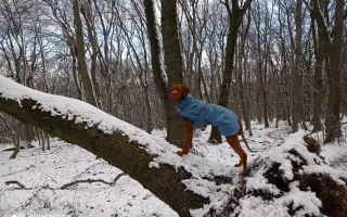 Zachráňme Dobbyho - pomôžme mu s liečbou mastocytózy