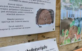 Pomôžte nám dobudovať Lesopark - náučný chodník, rozprávkové domčeky