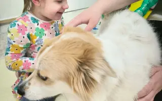 Pomôžme súrodencom s ťažkým autizmom získať potrebné terapie