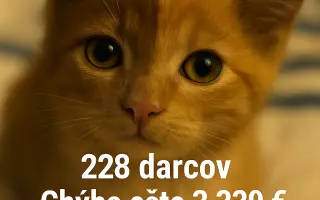 Podporte rozšírenie depozitu pre mačičky z ulice