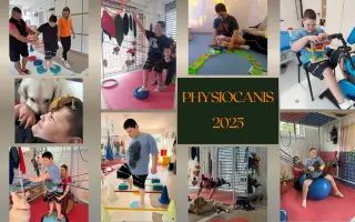 Darujme Dominikovi k narodeninám terapie na jeden celý rok