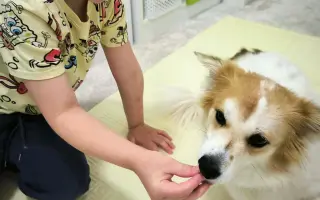 Pomôžme súrodencom s ťažkým autizmom získať potrebné terapie