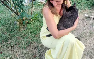 Pomohli ste Mačičkám u Larky zvládnuť náročné obdobie