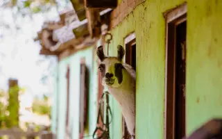 Pomôžte Detskej farme Humanita (DFH) postaviť sa na nohy