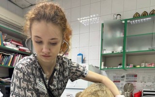 Pomôžte zachrániť zvieratá z frontových zón Charkovskej a Doneckej oblasti