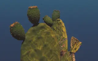 Podporte vydanie LP platne Ota Hudeca Songs for the Prickly Pear