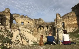 Nina, pes ktorý zmenil život mnohým