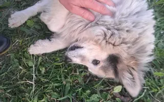 Stará chalúpka sa stala útočiskom pre tých, čo nevedia prosiť o pomoc