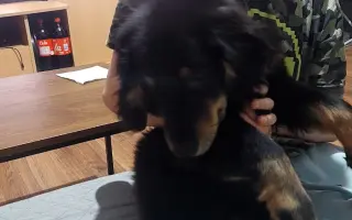 Pomôžme Jánovej rodine udržať si teplo domova