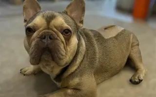 Pomôžme Dionkovi znovu chodiť