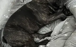 Pomôžme Hugovi vyhnúť sa ochrnutiu