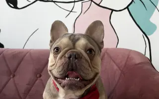 Pomôžme Dionkovi znovu chodiť