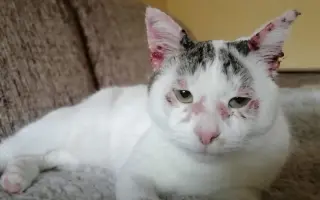 Zachráňme Miniho a dajme šancu aj tým, čo prídu po ňom Zachráňme Miniho a dajme šancu aj tým, čo prídu po ňom