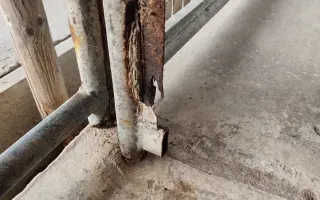 Psíkovia z Útulku Piešťany potrebujú nové koterce - pomôžme im ich zabezpečiť