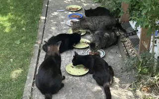 Pomôžte nám dlhodobo pomáhať pouličníkom