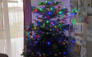 Pomôžte udržať domov pre Karin a jej syna