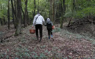 Podporte Tobiho, aby mohol pokračovať v Domoškole