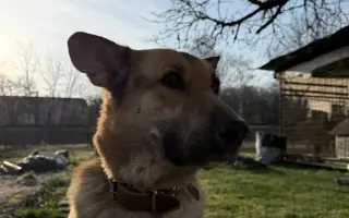 Zachráňme Oreovi život – nášmu členovi rodiny