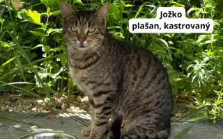 Pomôžte nám dlhodobo pomáhať pouličníkom