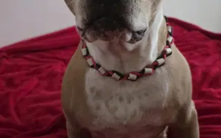 Pomoc Sallynke pri boji s leukémiou