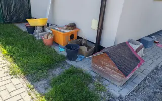 Pomôžme Eve starať sa aj naďalej o mačičky, ktoré ju potrebujú