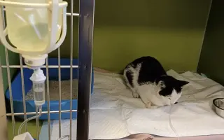 Pomôžme malej Mimi vyhrať boj o život