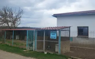 Darujme psíkom v útulku čistú vodu