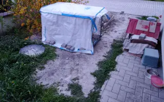 Pomôžme Eve starať sa aj naďalej o mačičky, ktoré ju potrebujú
