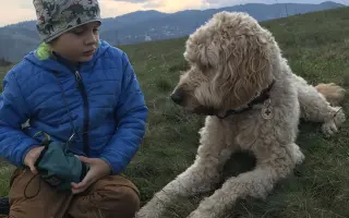 Pomôžme Bobovi opäť pomáhať