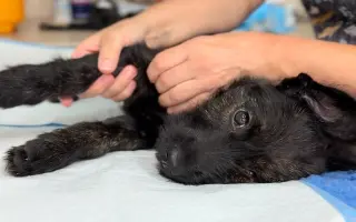 Bežíme za Tuláčik🐾