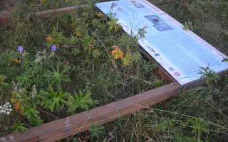 Pomôžme Jakubskej ceste po víchrici