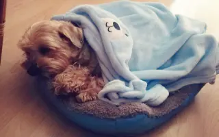 Pomôžme Charliemu získať späť kúsok života Pomôžme Charliemu získať späť kúsok života