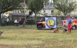 Pomôžme záchranárskemu psíkovi Qvídovi