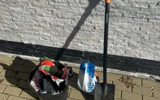 SadímeStromy: Posadíme 100 stromov každý rok