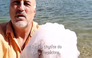 V čom plávame? Urobíme analýzu vody troch seneckých jazier