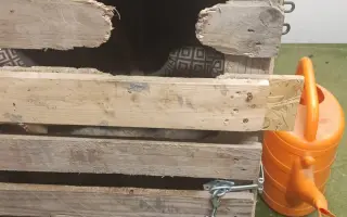 Pomôžte nám dať psom druhú šancu – prerábame Happy Paw’s